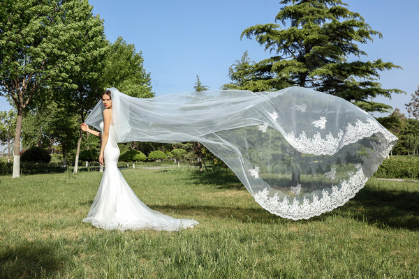 Extra Long Veil 